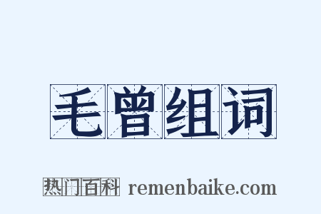 毛曾组词是什么意思的图片